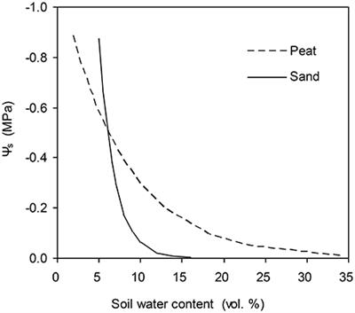 Simulation of Stomatal Conductance and Water Use Efficiency of Tomato Leaves Exposed to Different Irrigation Regimes and Air CO2 Concentrations by a Modified “Ball-Berry” Model